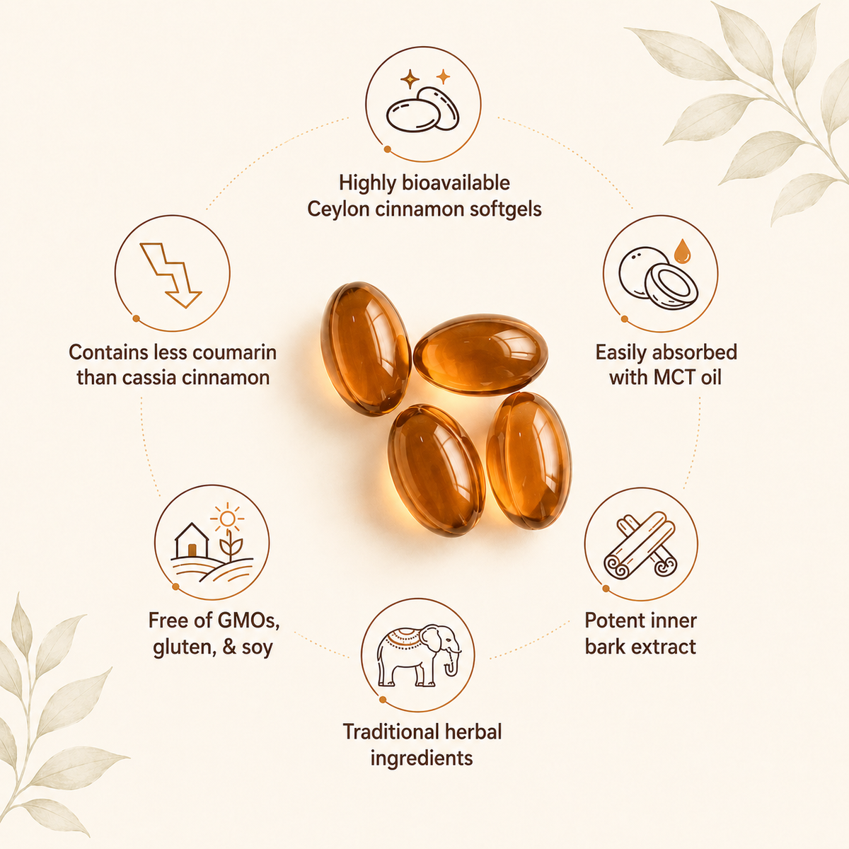 True Ceylon Cinnamon Softgels with MCT Oil
